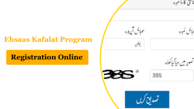 Ehsaas Kafalat Program Online