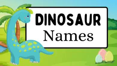 Dinosaur Names In Hindi & English