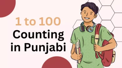 1 to 100 Counting in Punjabi
