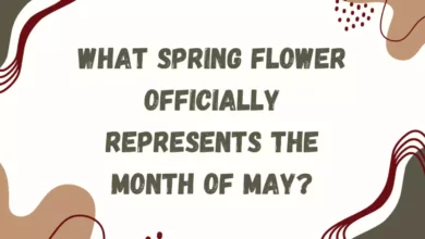 What spring Flower officially Represents the month of May?