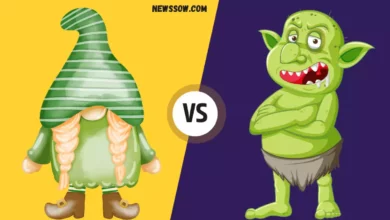 Gnomes vs Trolls: What is the Difference