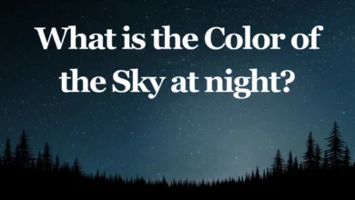 what colour is the night sky