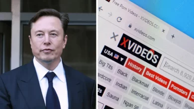 Elon Musk Buys XVideos