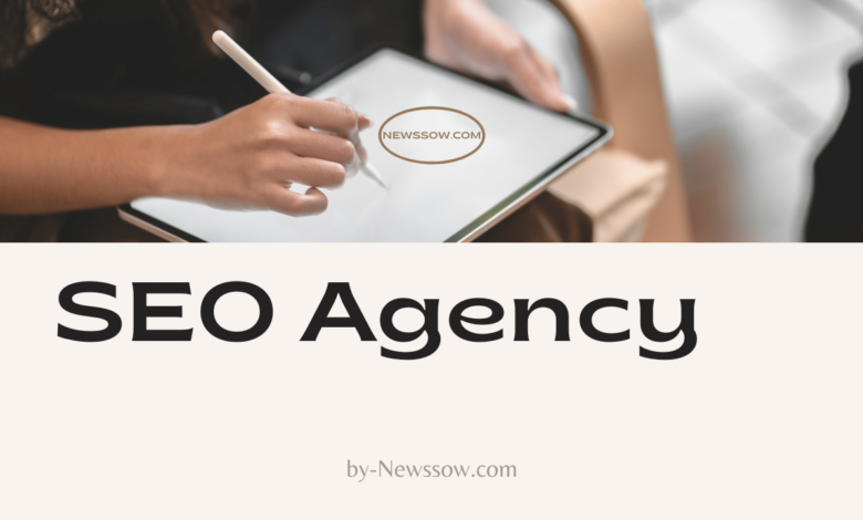 seo agency in ahmedabad