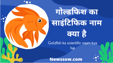 ok google gold fish ka scientific naam kya hai