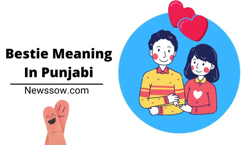 bestie meaning in punjabi | punjabi meaning in punjabi | Newssow.com