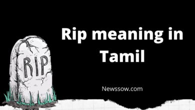 RIP Meaning in Tamil || Newssow.com