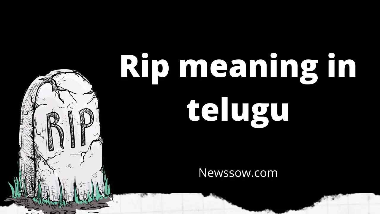 rip meaning in telugu || Newssow.com