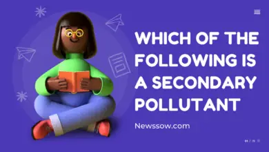 which of the following is a secondary pollutant || Newssow.com