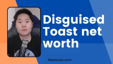 Disguised toast net worth