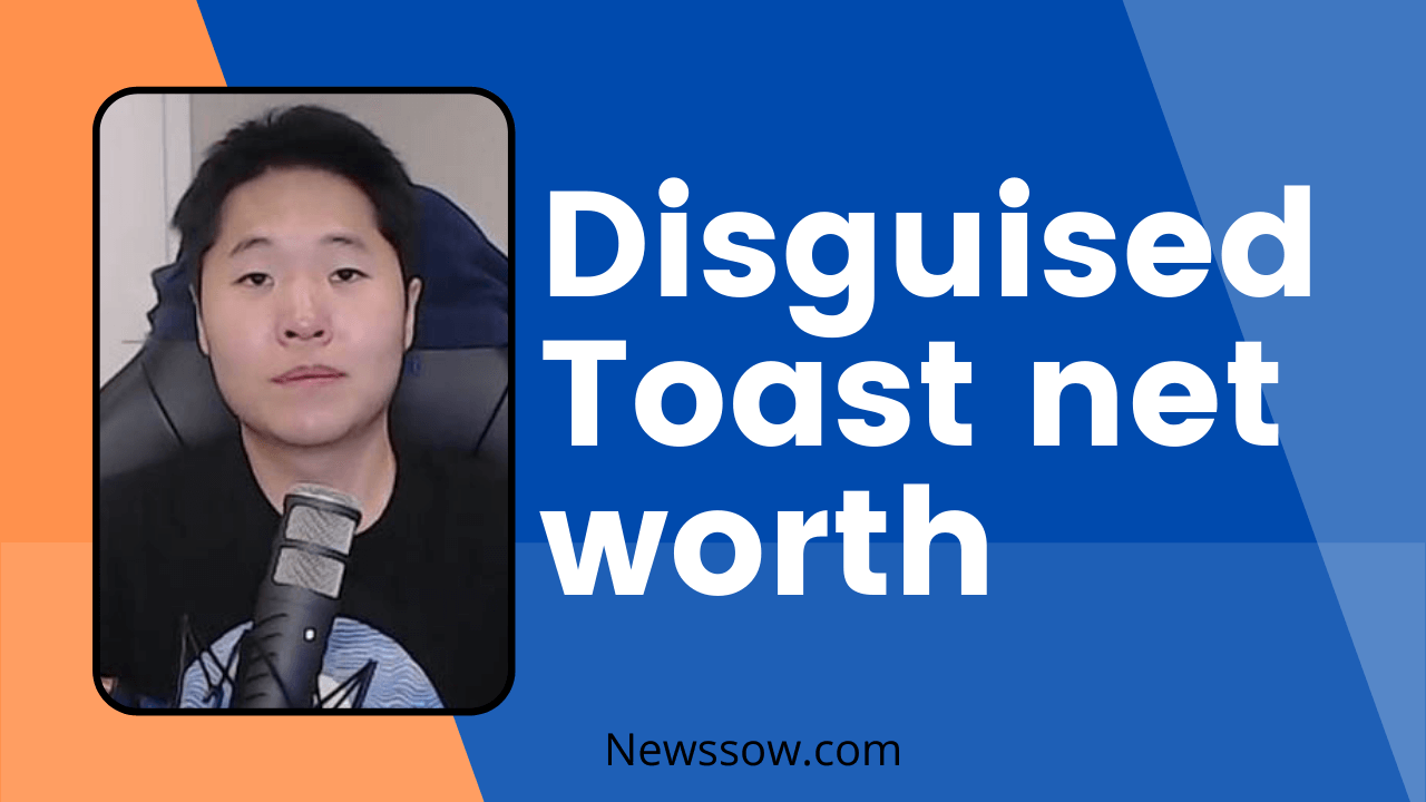 Disguised toast net worth