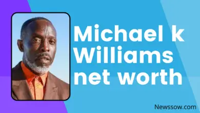 Michael k Williams net worth