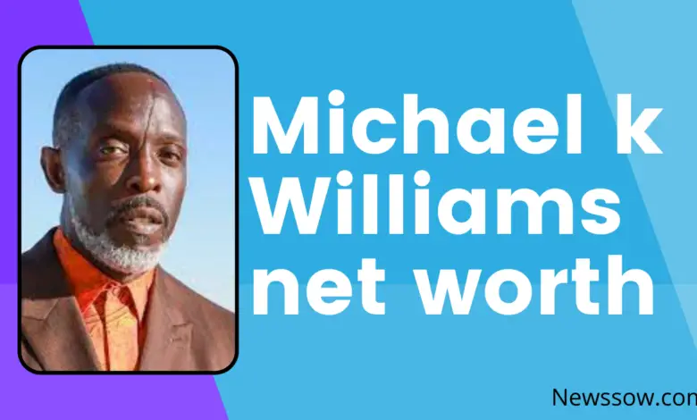 Michael k Williams net worth