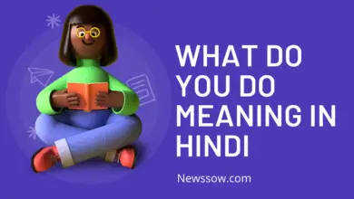 What do you do को हिंदी में क्या कहते है?(What do you do meaning in Hindi)