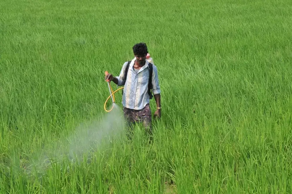 Which is the most toxic insecticide?