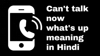 Can't talk now what's up meaning in hindi