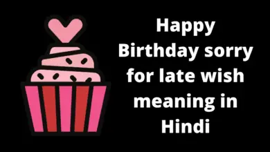 Happy birthday sorry for late wish meaning in Hindi