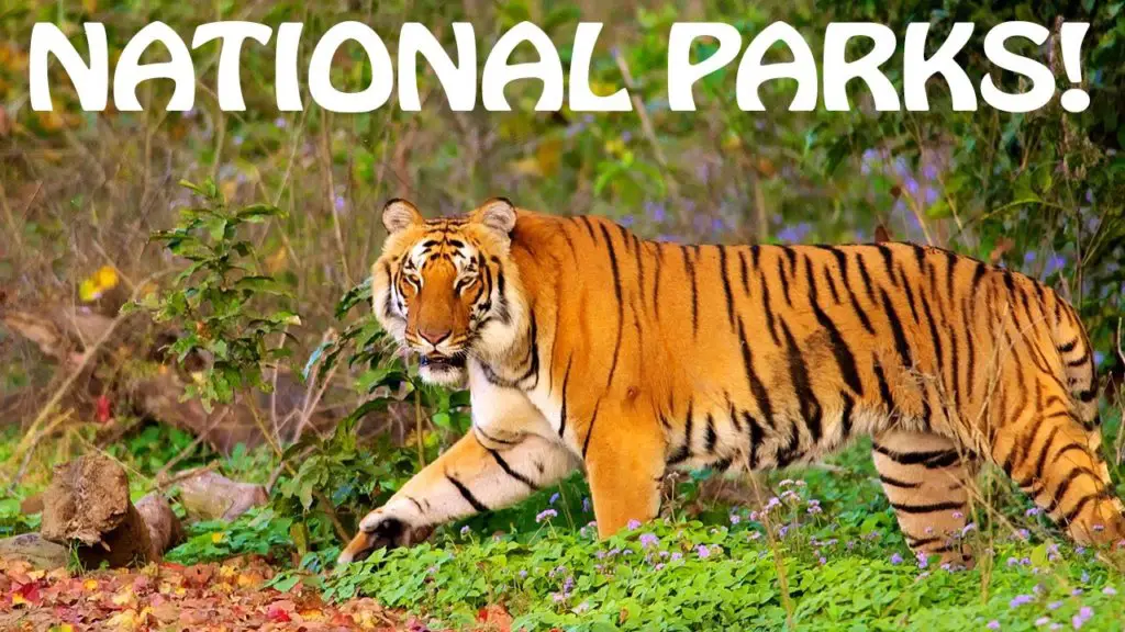Which is the largest national park in India? (भारत का सबसे बड़ा नेशनल पार्क कौन सा है?)