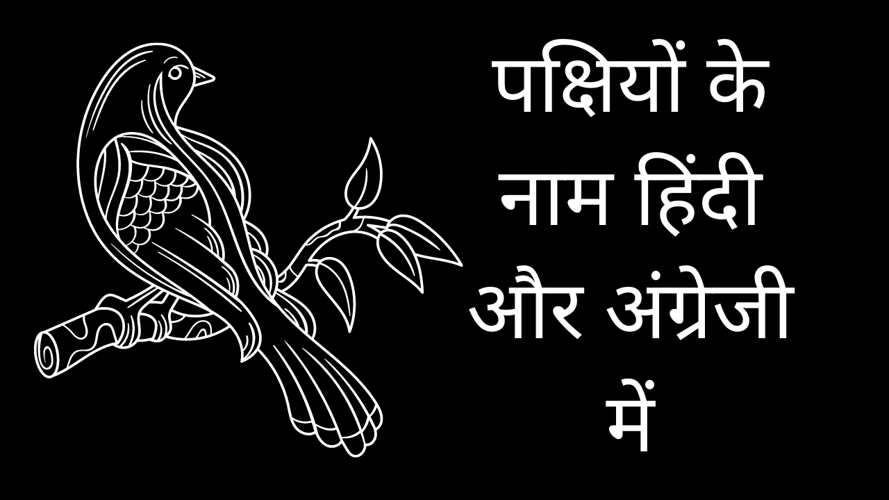 10 पक्षियों के नाम (10 Pakshiyon Ke Naam in hindi)