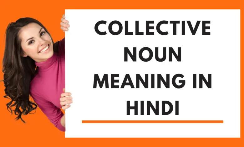 Collective Noun Meaning in Hindi