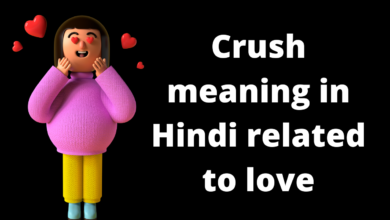 Crush meaning in hindi related to love