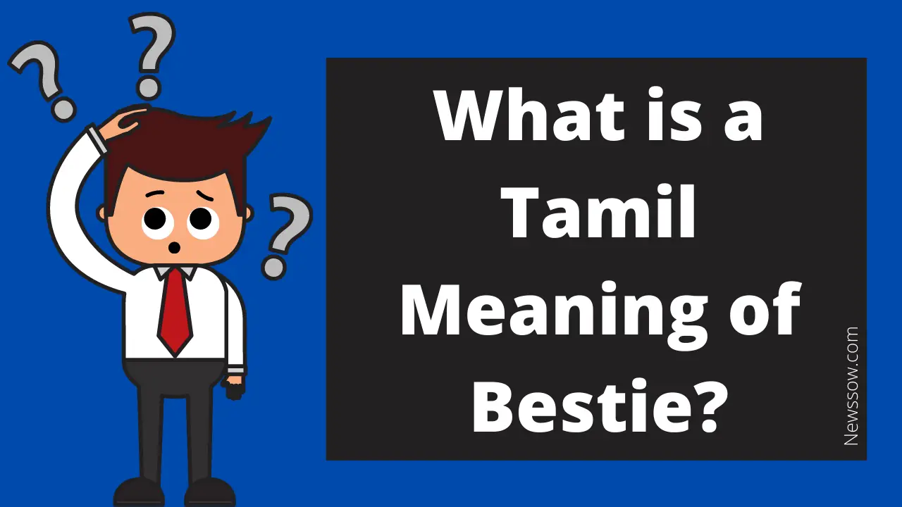 What is a Tamil Meaning of Bestie?