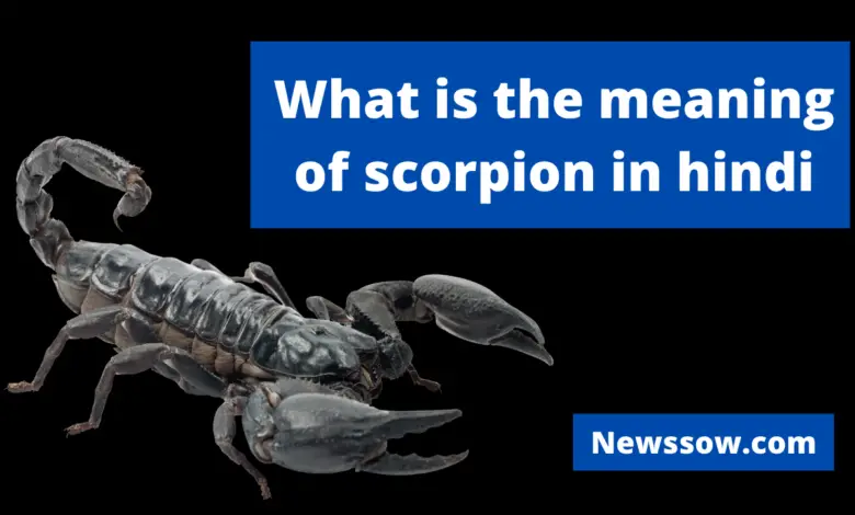 What is the meaning of scorpion in hindi
