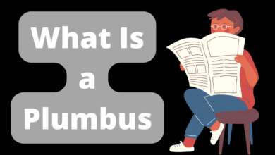 What Is A Plumbus
