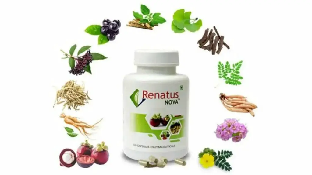 renatus wellness price