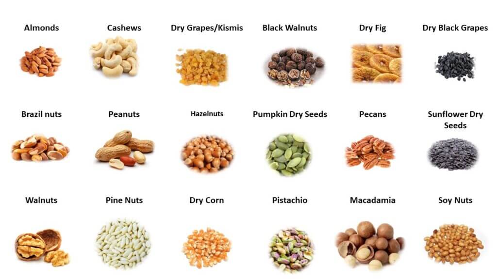 all types of dry fruits with images and names