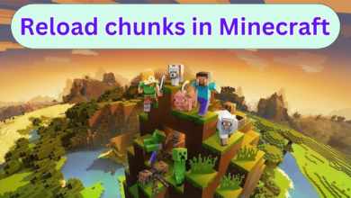 reload chunks in Minecraft