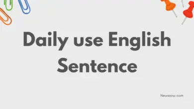 Daily use English Sentence