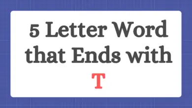 5 Letter Word that Ends with T