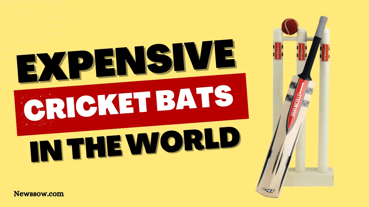 Most Expensive Cricket Bats in the World