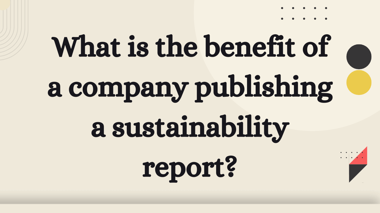 What is the benefit of a company publishing a sustainability report?