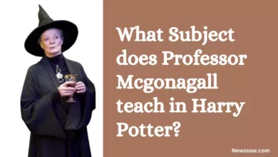 What Subject does Professor Mcgonagall teach in Harry Potter?