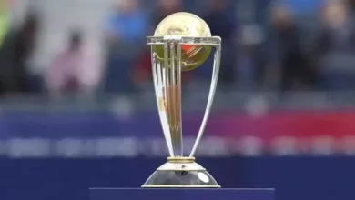 Cricket World Cup Sees the 50-Over
