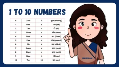 hindi numbers in words