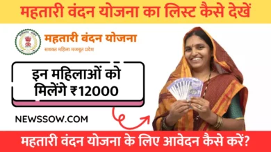 महतारी वंदन योजना का लिस्ट कैसे देखें?