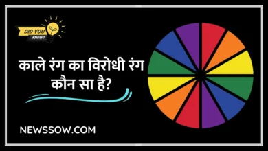 काले रंग का विरोधी रंग कौन सा है? (Kale Rang ka Virodhi Rang)