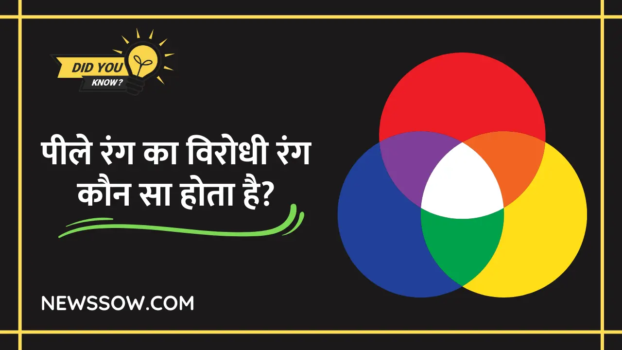 पीले रंग का विरोधी रंग कौन सा होता है? | Pile Rang ka Virodhi Rang Kaun Sa Hota Hai पीले रंग का विरोधी रंग कौन सा होता है? | Pile Rang ka Virodhi Rang Kaun Sa Hota Hai
