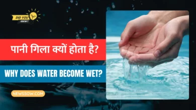 पानी गिला क्यों होता है? : जानिए असली सच्चाई