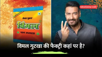 Vimal Pan Masala: विमल गुटखा की फैक्ट्री कहां पर है?
