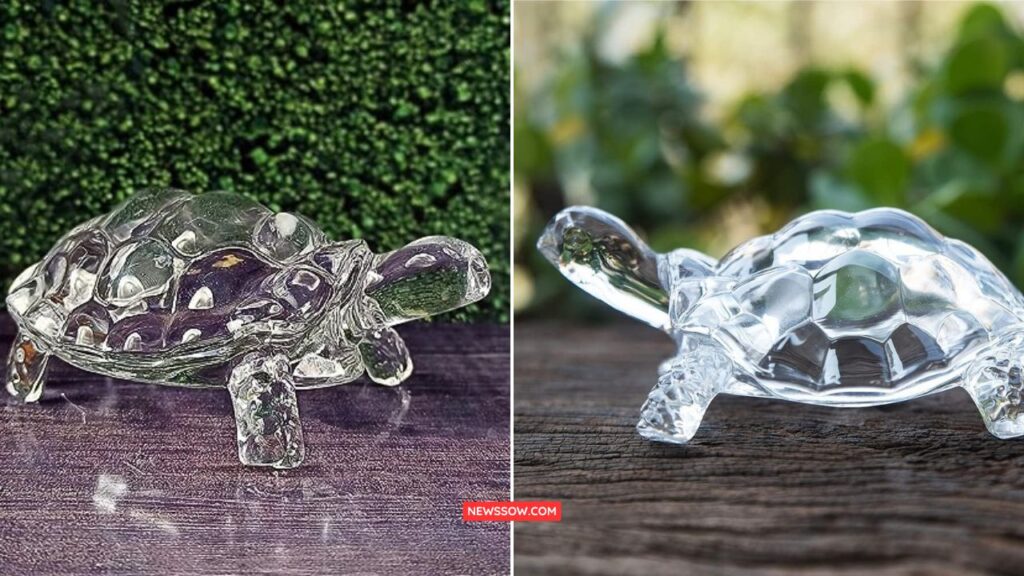 Crystal Tortoise Is Also Auspicious