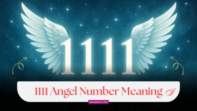 1111 Angel Number Meaning : Love, Career, Manifestation & Money