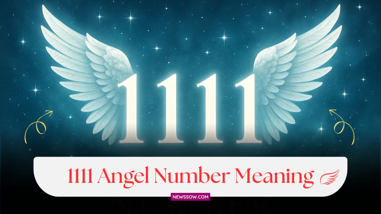 1111 Angel Number Meaning : Love, Career, Manifestation & Money 1111 Angel Number Meaning : Love, Career, Manifestation & Money