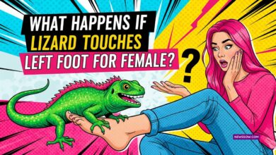 What Happens If Lizard Touches Left Foot For Female?