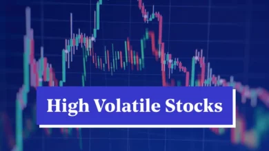 Penny Stocks Show High Volatility In Daily Market Movement