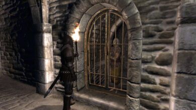 Oblivion Remastered Player Jail Time : The Truth About The Elder Scrolls IV Oblivion Remastered Player Jail Time : The Truth About The Elder Scrolls IV