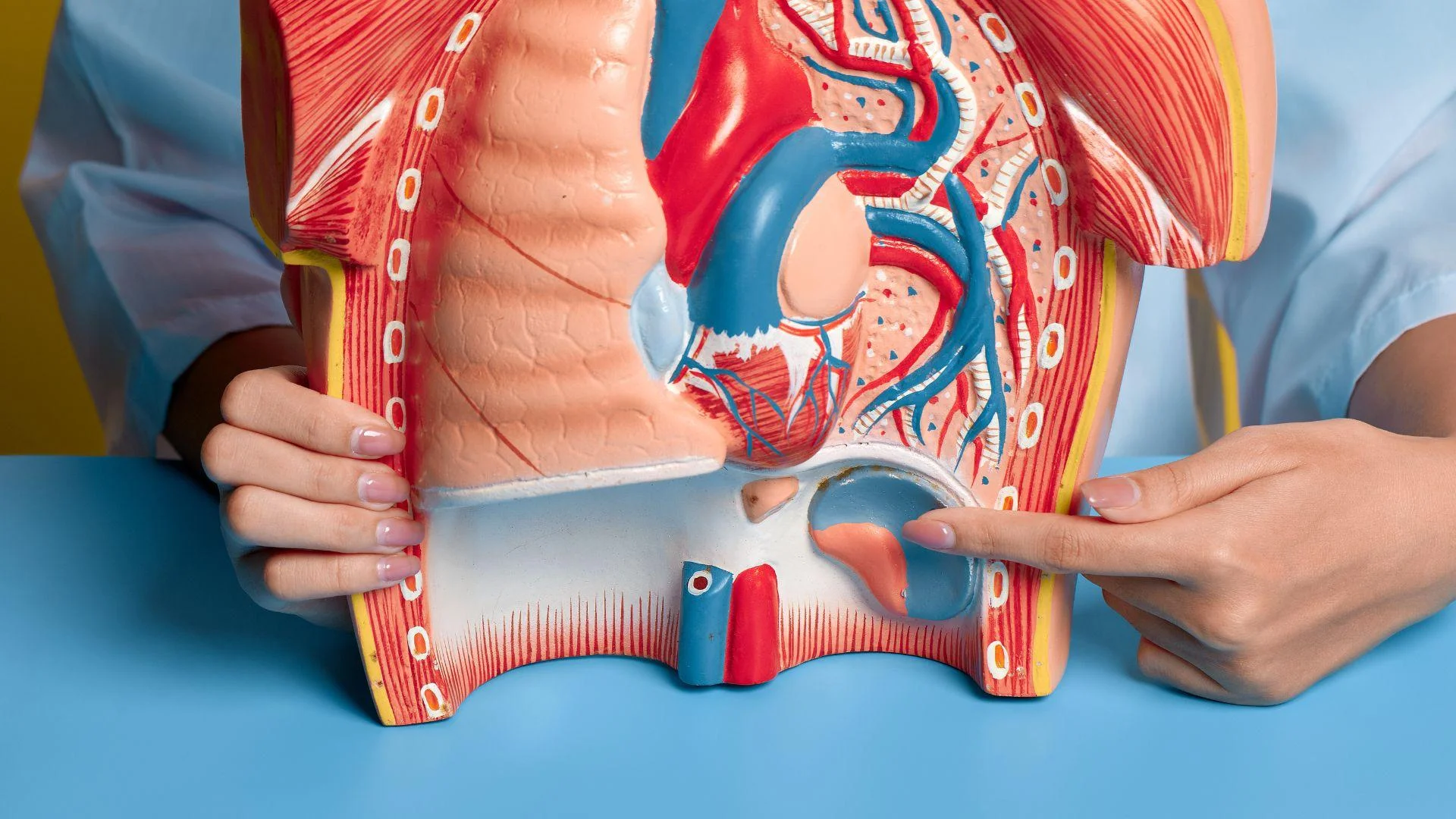 How Do High Uric Acid Levels Affect Kidney Function Over Time?